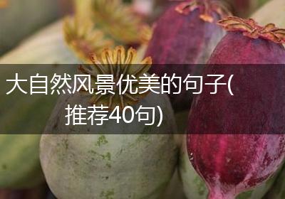 大自然风景优美的句子(推荐40句)