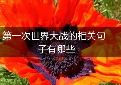第一次世界大战的相关句子有哪些