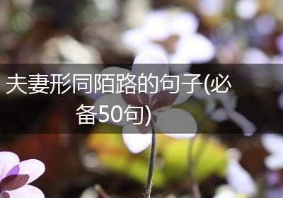 夫妻形同陌路的句子(必备50句)