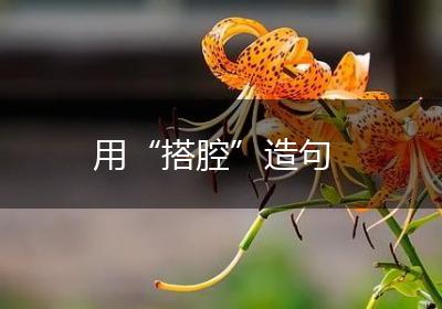 用“搭腔”造句