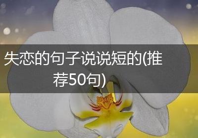 失恋的句子说说短的(推荐50句)