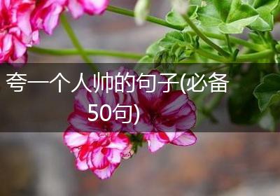 夸一个人帅的句子(必备50句)