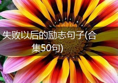 失败以后的励志句子(合集50句)