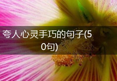 夸人心灵手巧的句子(50句)