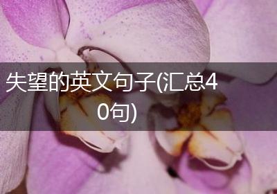 失望的英文句子(汇总40句)
