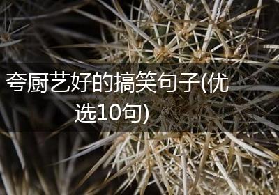 夸厨艺好的搞笑句子(优选10句)