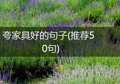 夸家具好的句子(推荐50句)