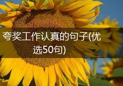 夸奖工作认真的句子(优选50句)