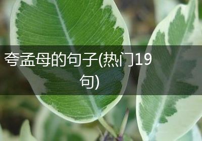 夸孟母的句子(热门19句)