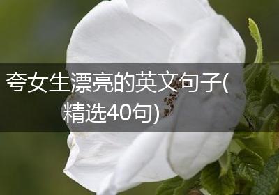 夸女生漂亮的英文句子(精选40句)