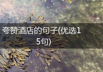 夸赞酒店的句子(优选15句)