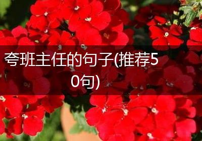 夸班主任的句子(推荐50句)
