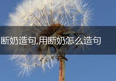 断奶造句,用断奶怎么造句