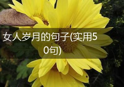 女人岁月的句子(实用50句)