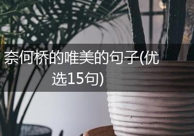 奈何桥的唯美的句子(优选15句)