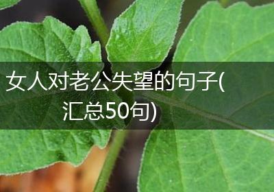 女人对老公失望的句子(汇总50句)