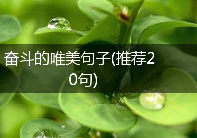 奋斗的唯美句子(推荐20句)