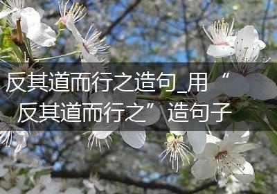 反其道而行之造句_用“反其道而行之”造句子