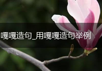 嘎嘎造句_用嘎嘎造句举例