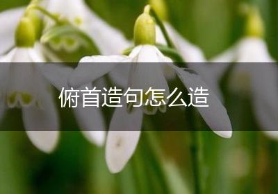 俯首造句怎么造