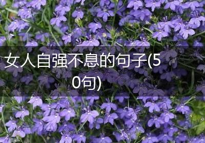 女人自强不息的句子(50句)