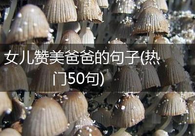 女儿赞美爸爸的句子(热门50句)