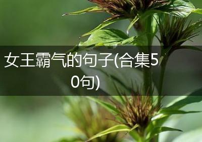 女王霸气的句子(合集50句)
