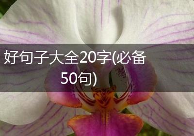 好句子大全20字(必备50句)