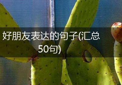 好朋友表达的句子(汇总50句)