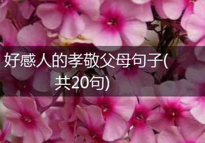 好感人的孝敬父母句子(共20句)