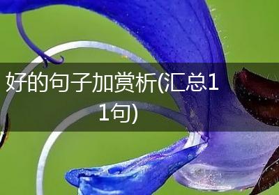 好的句子加赏析(汇总11句)