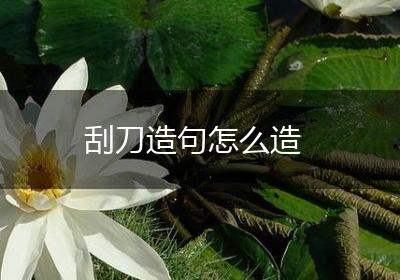 刮刀造句怎么造