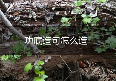 功底造句怎么造