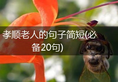 孝顺老人的句子简短(必备20句)