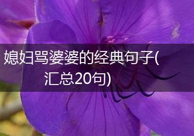 媳妇骂婆婆的经典句子(汇总20句)