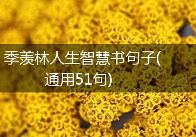 季羡林人生智慧书句子(通用51句)
