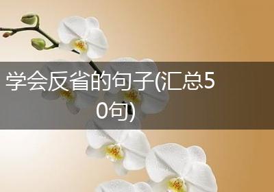 学会反省的句子(汇总50句)
