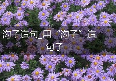 沟子造句_用“沟子”造句子