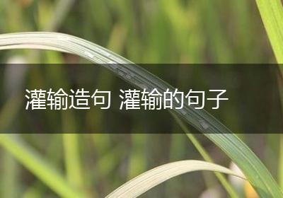灌输造句 灌输的句子