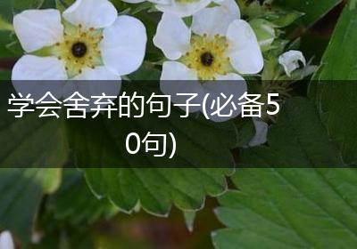学会舍弃的句子(必备50句)