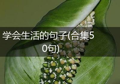 学会生活的句子(合集50句)