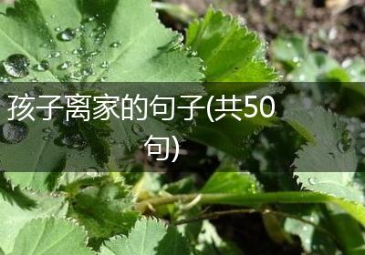 孩子离家的句子(共50句)