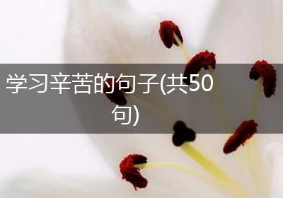 学习辛苦的句子(共50句)