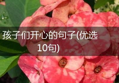 孩子们开心的句子(优选10句)