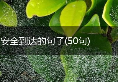 安全到达的句子(50句)