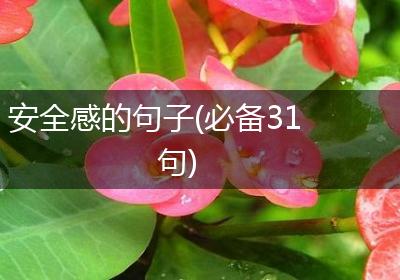 安全感的句子(必备31句)