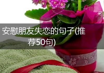 安慰朋友失恋的句子(推荐50句)