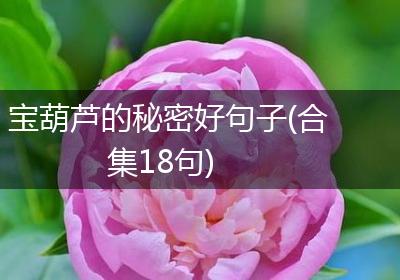 宝葫芦的秘密好句子(合集18句)