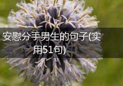 安慰分手男生的句子(实用51句)