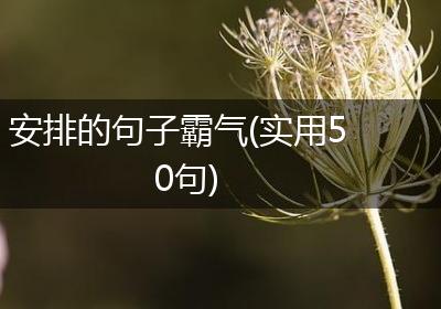 安排的句子霸气(实用50句)